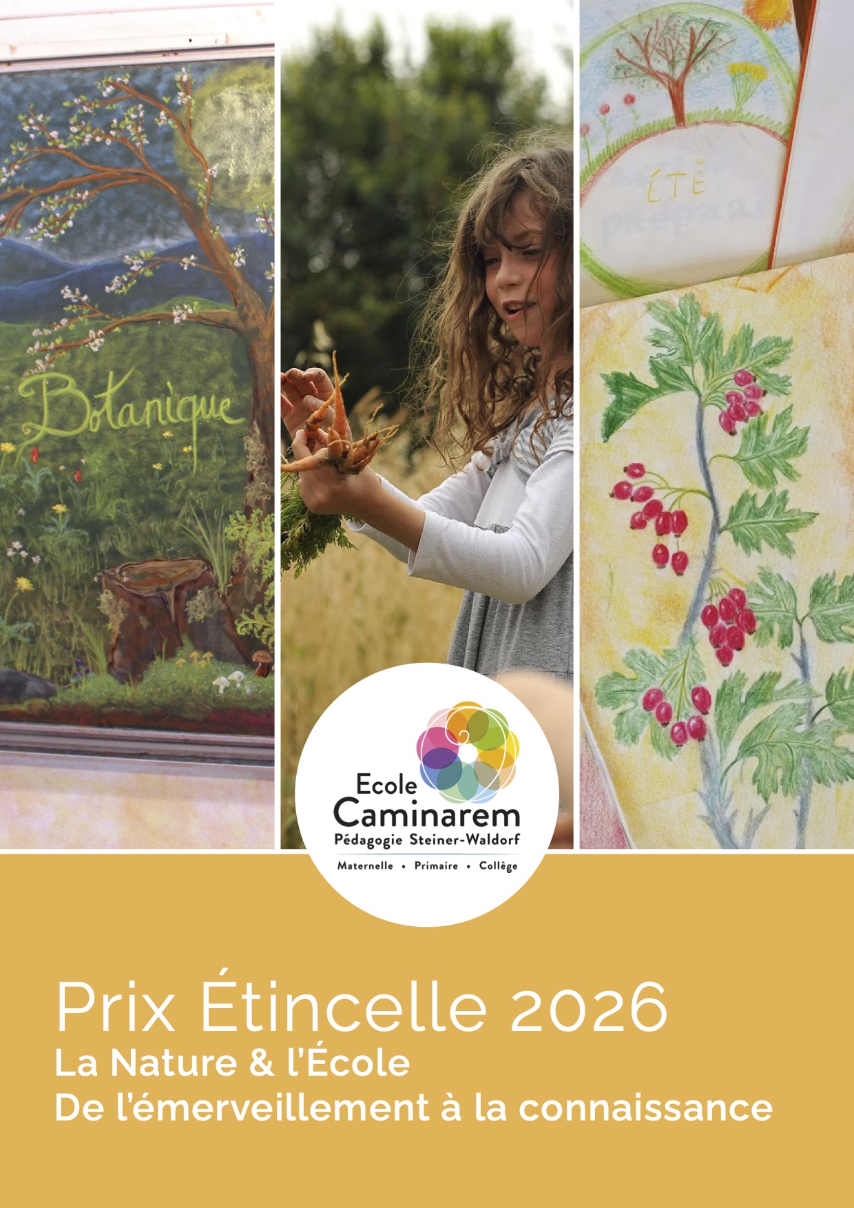 Ecole Caminarem-page 1 - concours